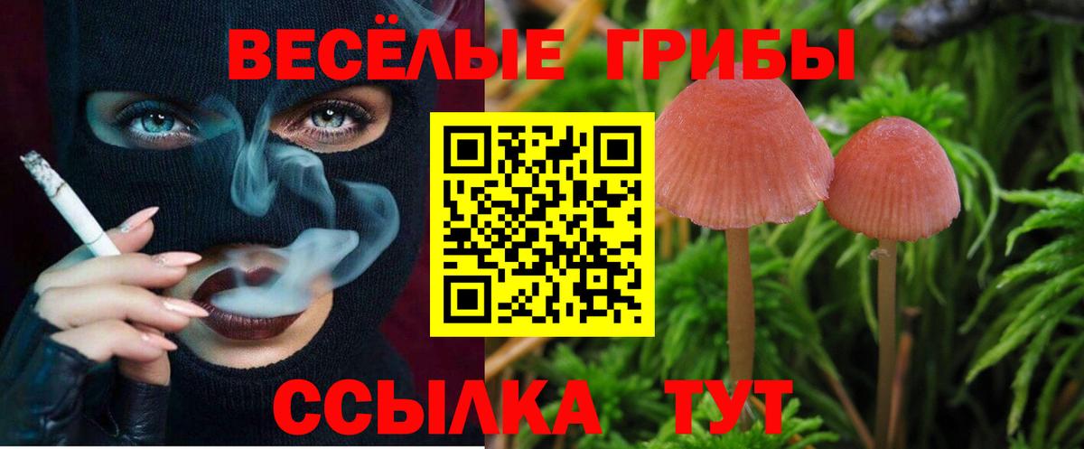 Галлюциногенные грибы ЛСД  Вход с VPN  Кириши  Псилоцибиновые грибы мицелий 