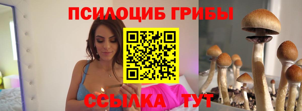 КЕТАМИН Кириши